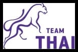 Team Thai logo